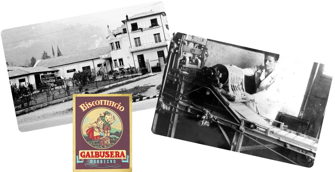 Radici e visione