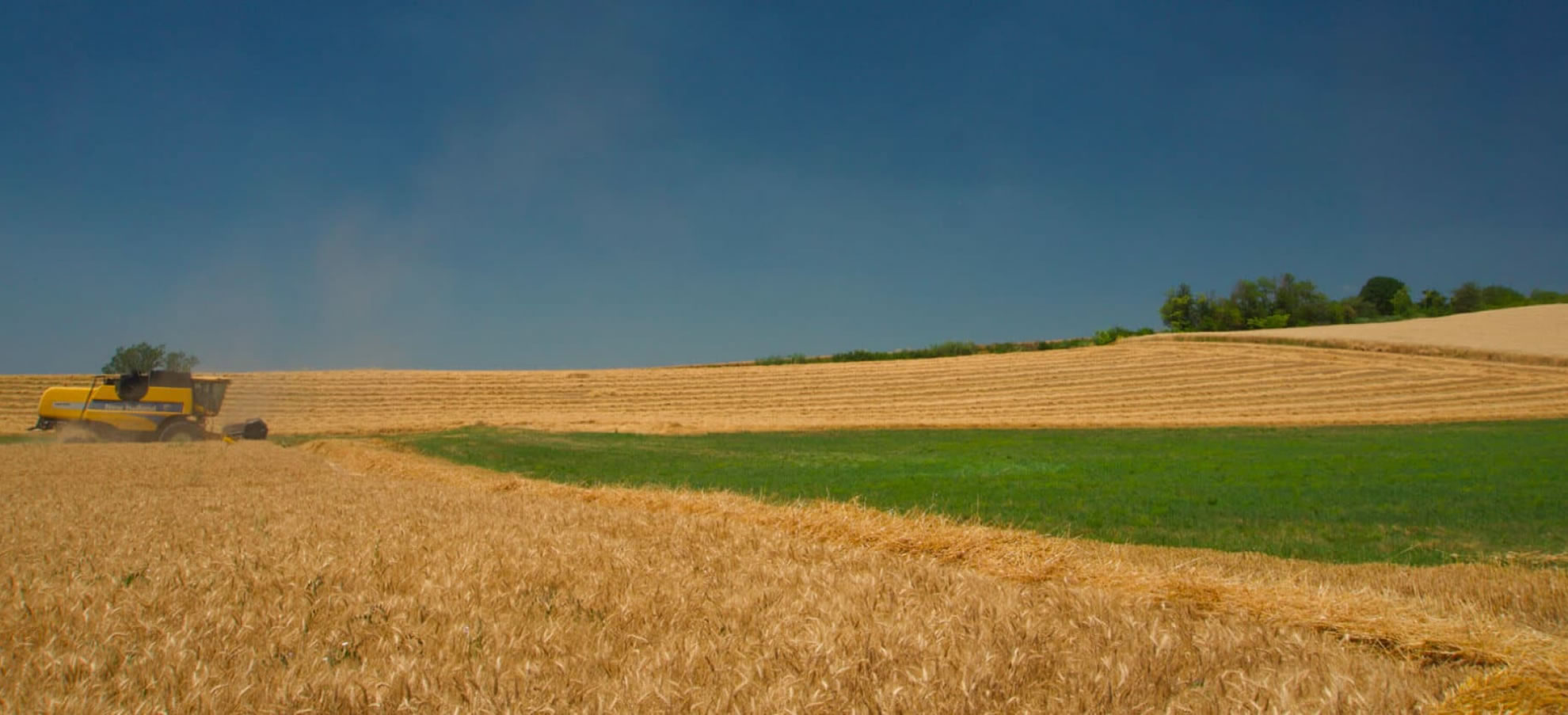 Un progetto che ha come protagonista il nostro ingrediente principale: il grano.