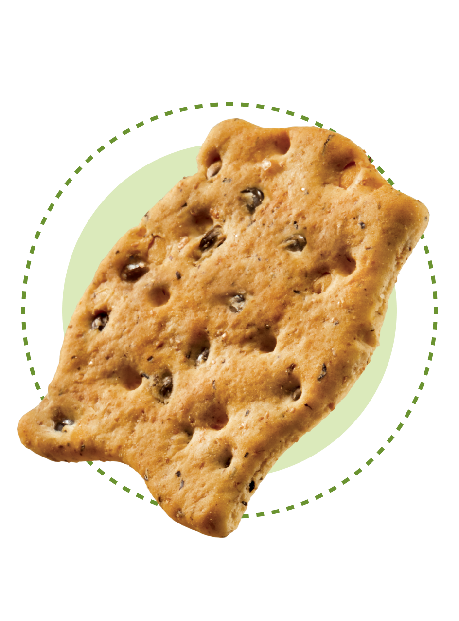 Protein-G cracker 100% vegetali, in sacchetto