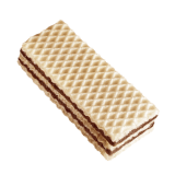 Wafer